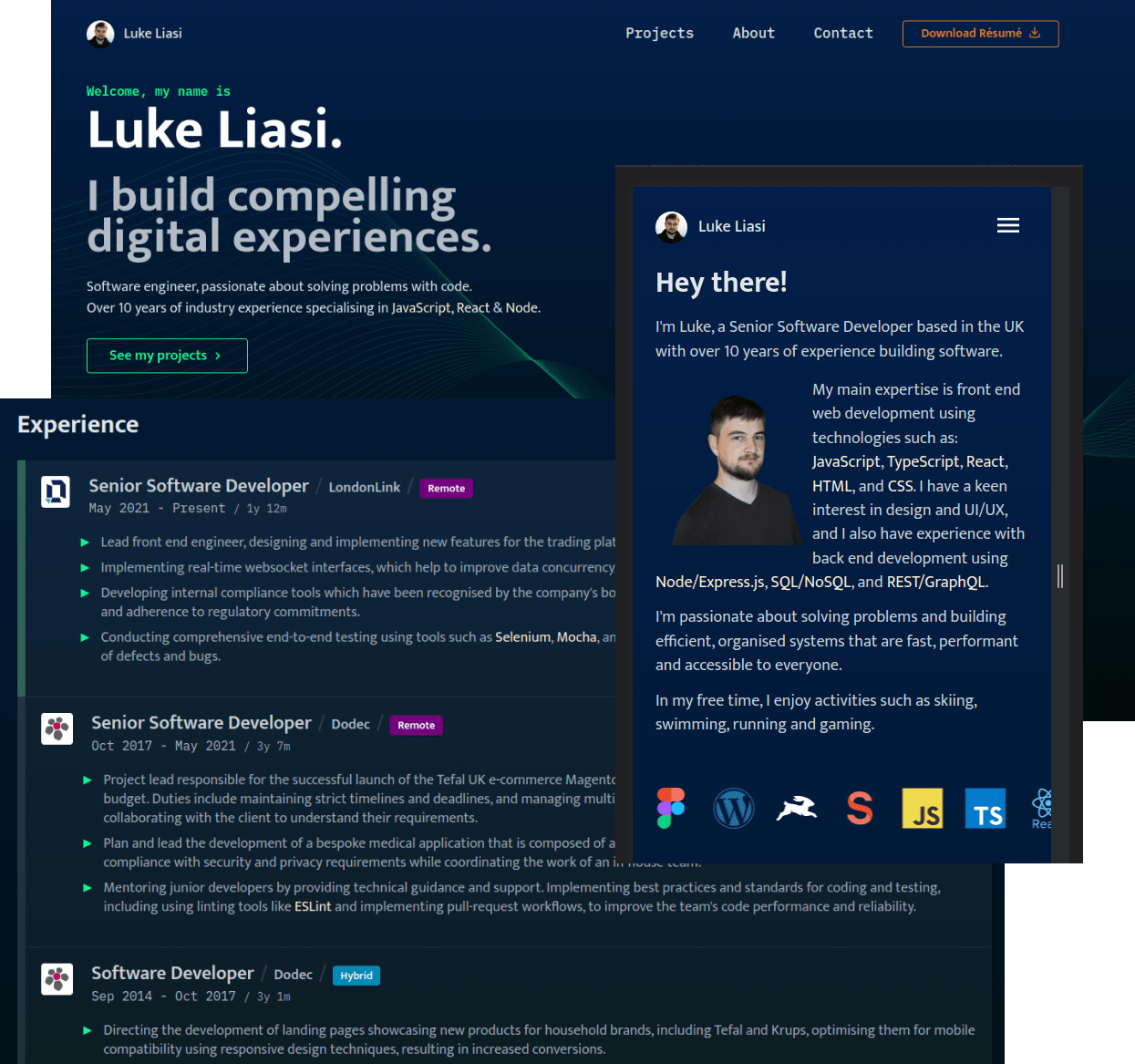 Developer Portfolio Template showcase